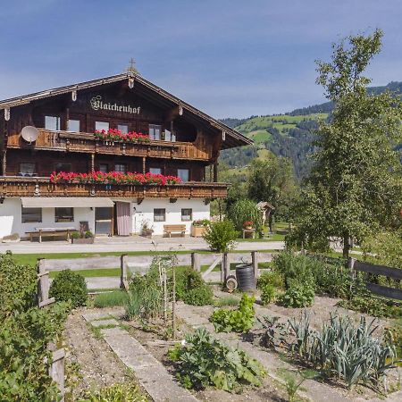 Anna Maria Apartment Hopfgarten im Brixental Luaran gambar